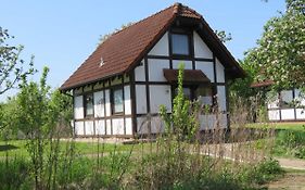 Ferienhaus Deichgraf 65 im Feriend